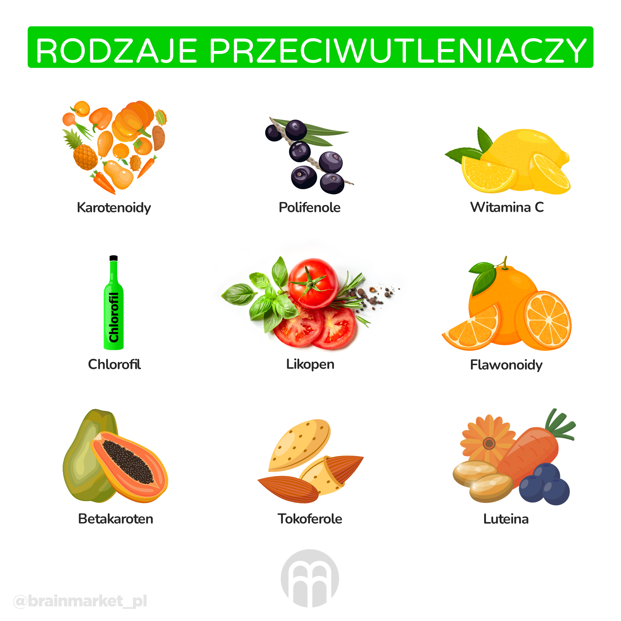 druhy antioxidantu_infografika_pl